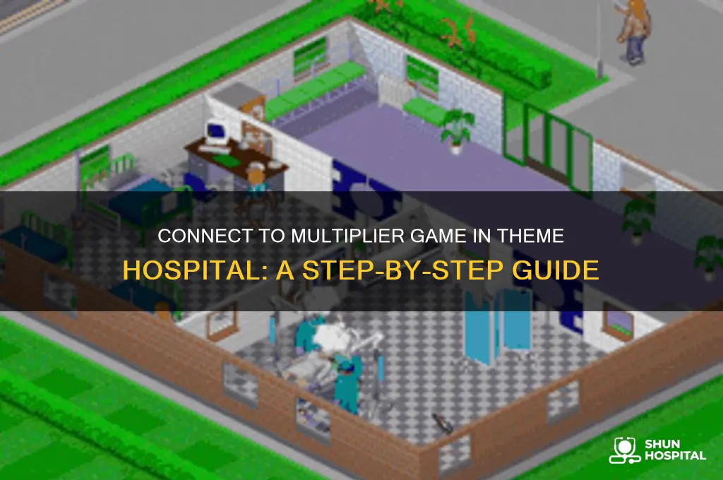 how to connect to multiplier game in theme hospital