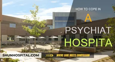 Coping in a Psychiatric Hospital: Strategies for Recovery
