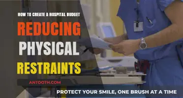 Reducing Physical Restraints: Strategies for Creating a Cost-Effective Hospital Budget