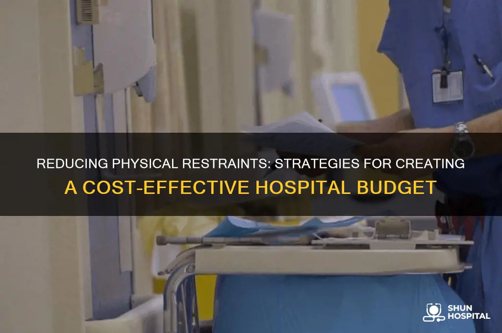 how to create a hospital budget reducing physical restraints