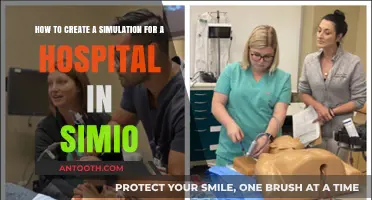 Mastering Hospital Simulations: A Step-by-Step Guide Using Simio