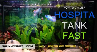 Cycling a Hospital Tank: Quick and Easy Methods