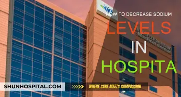 Reducing Sodium Intake: Strategies for Hospitals to Implement