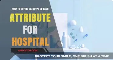 Defining Datatypes for Hospital Attributes: A Comprehensive Guide