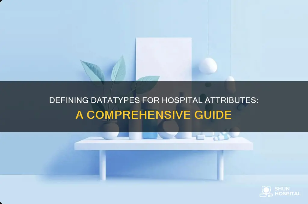 how to define datatype of each attribute for hospital