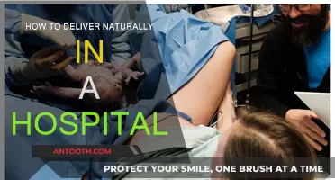 Natural Hospital Birth: A Guide to Delivery