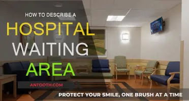 Hospital Waiting Areas: A Comforting Calm Amidst Chaos