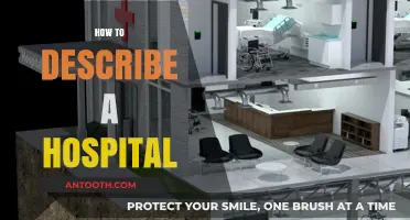 Exploring the Atmosphere: How to Describe a Hospital Effectively