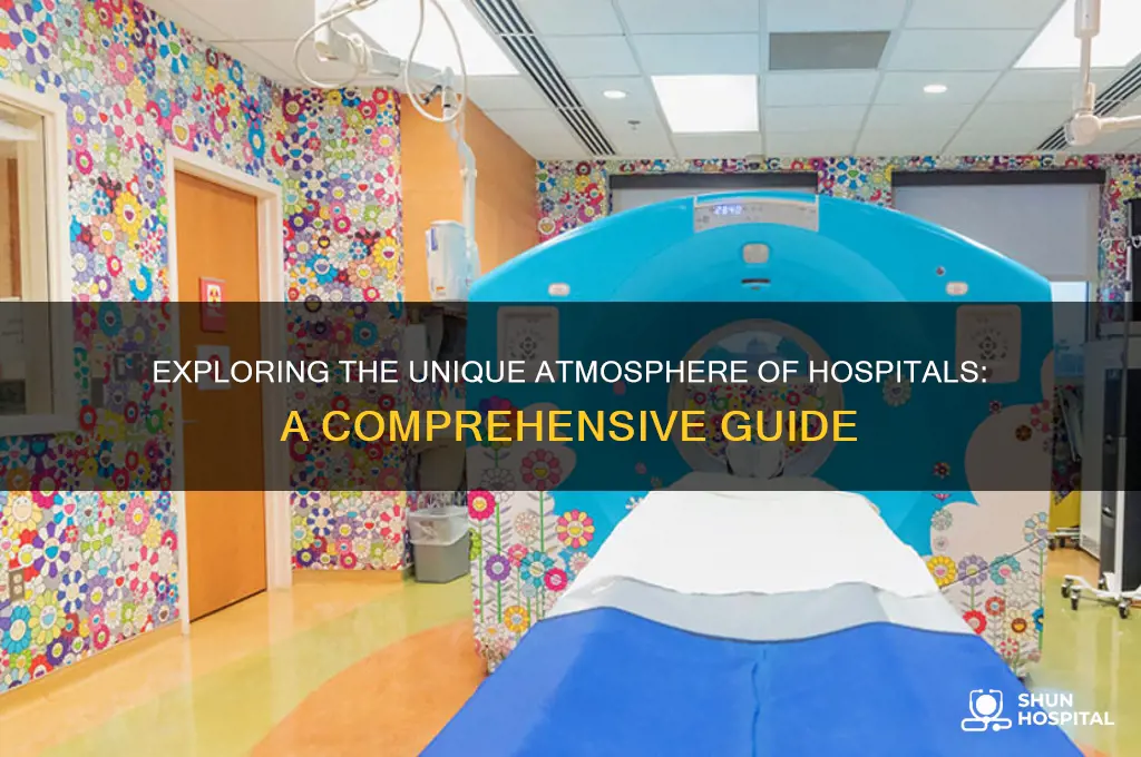 how to describe hospital atmosphere