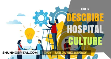 Understanding Hospital Culture: Key Elements and Impact on Patient Care