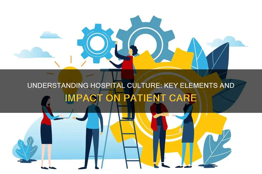 how to describe hospital culture