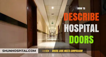 Hospital Doors: Design, Functionality, and Patient Experience Explained