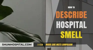 Unveiling the Complex Aroma: How to Describe the Unique Hospital Smell