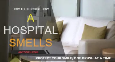 Unraveling the Aroma of Hospitals: A Sensory Journey