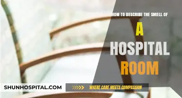 Capturing the Complex Aroma of a Hospital Room: A Scent Guide