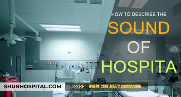 The Hospital Soundscape: An Auditory Journey