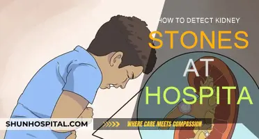 Detecting Kidney Stones: Hospital Procedures and Tests