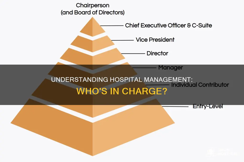 how to determine a hospitals management structure
