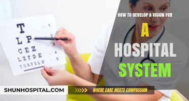 Crafting a Clear Vision: Strategies for Hospital System Development