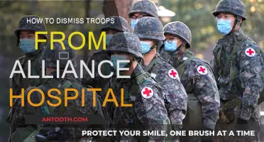 Dismissing Troops: Alliance Hospital Strategy