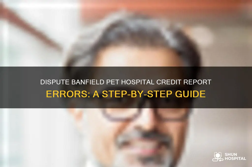 how to dispute banfield pet hospital on credit report