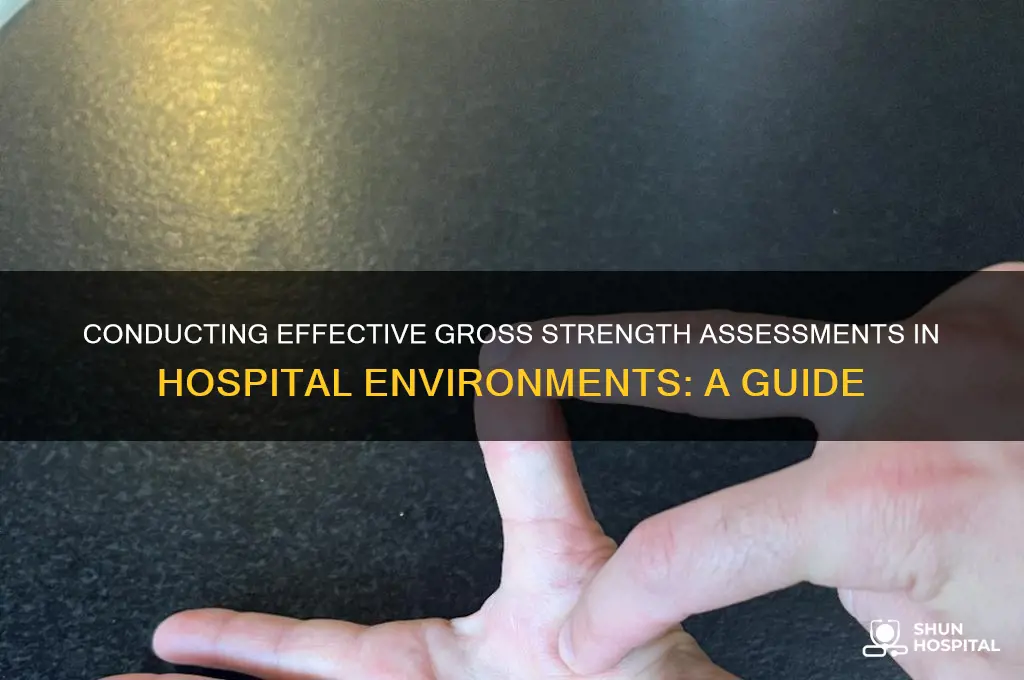 how to do a gross strength assessment at hospital setting