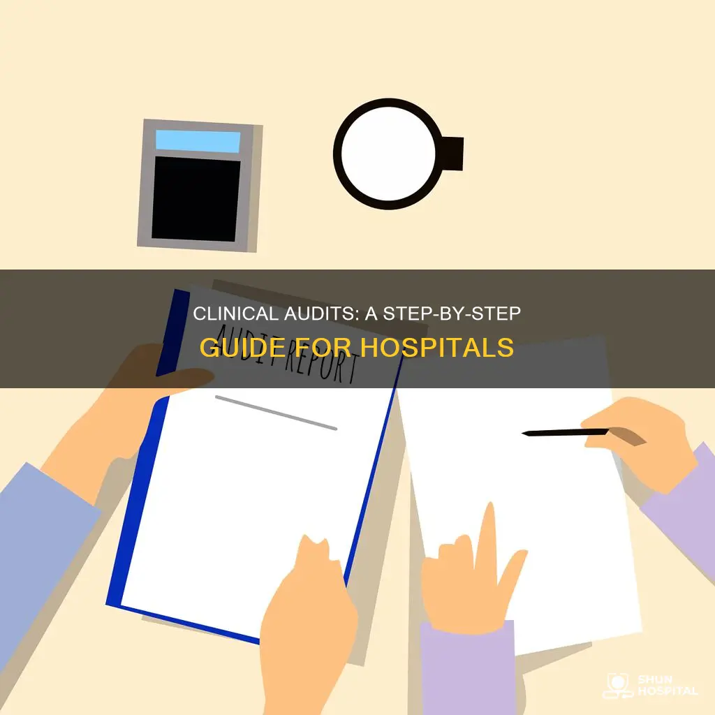 how to do clinical audit in hospital