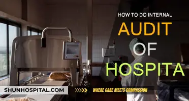 Hospital Internal Audits: Strategies for Success