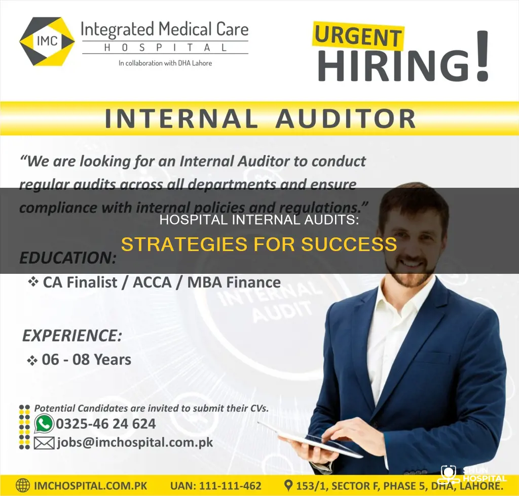 how to do internal audit of hospitals