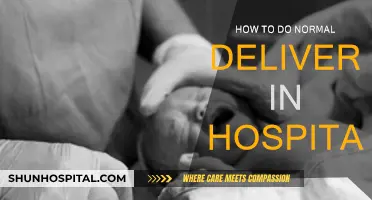 Hospital Natural Birth: A Step-by-Step Guide for Moms-to-Be