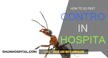 Effective Pest Control Strategies for Hospitals