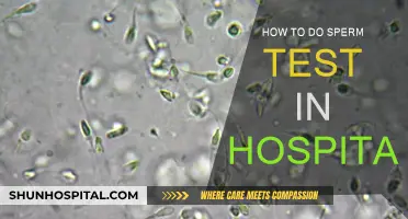 Sperm Testing: Hospital Procedures and Preparations