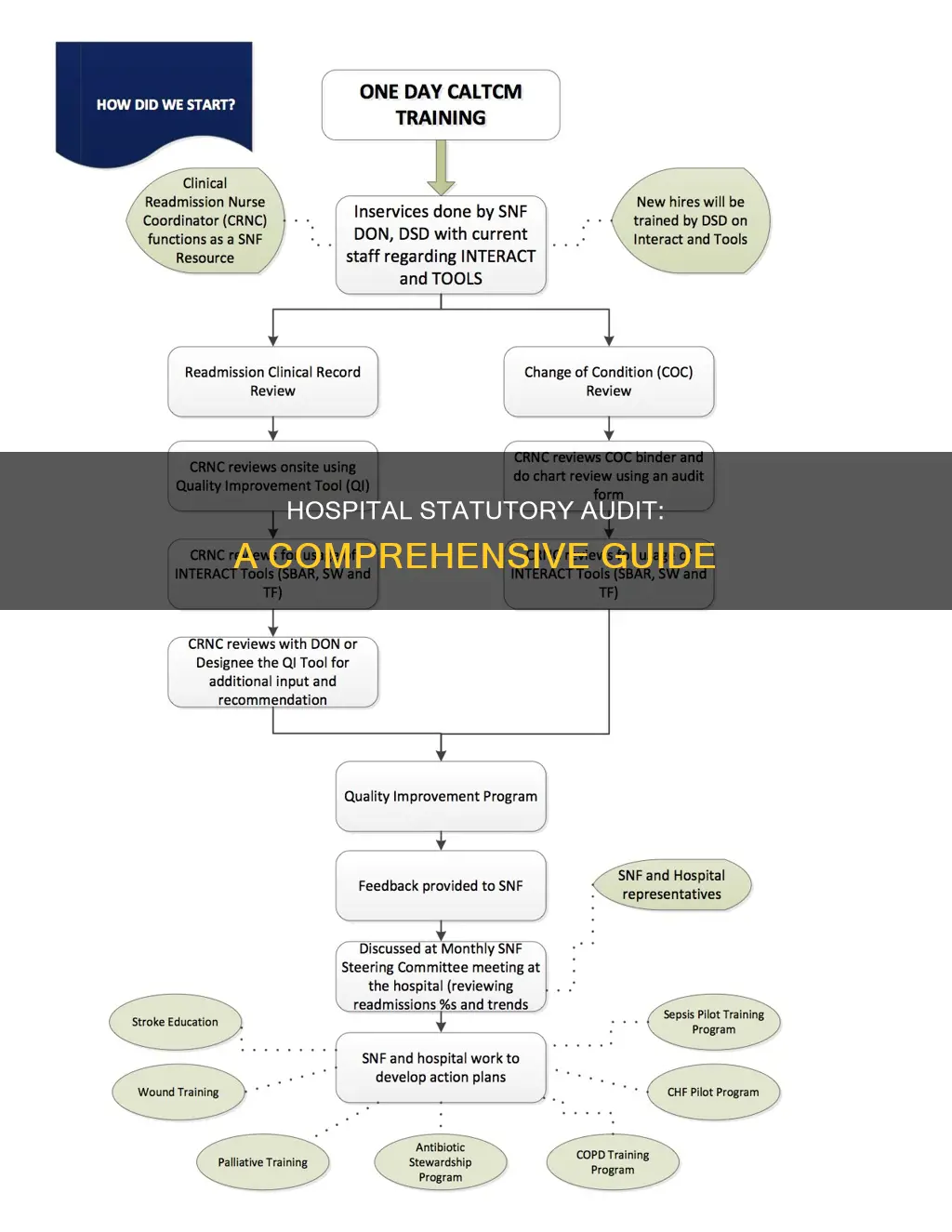 how to do statutory audit of hospitals