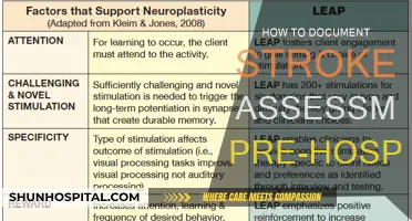 Documenting Stroke Assessments: Pre-Hospital Protocols