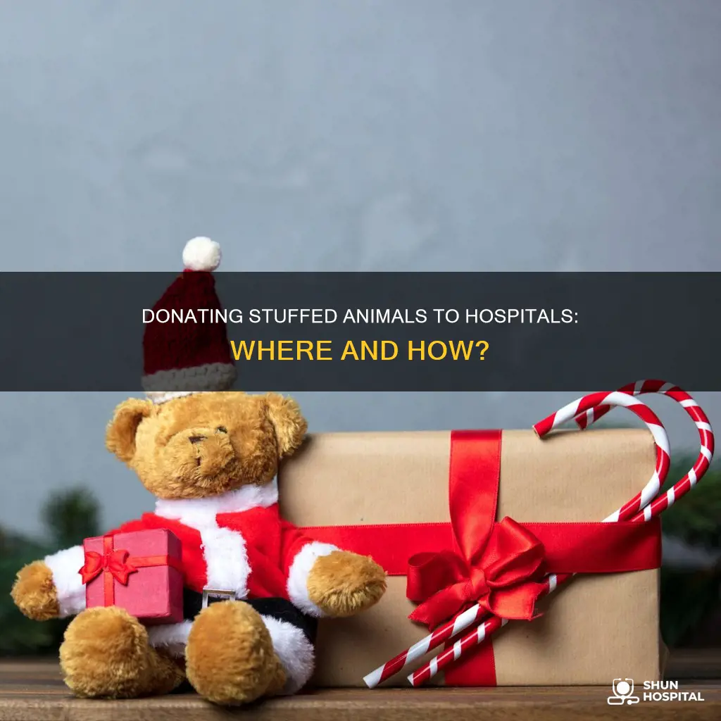 how to donate stuffed animals to hospitals
