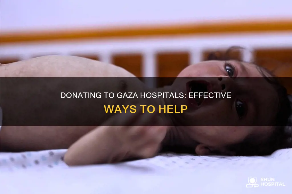 how to donate to hospitals in gaza