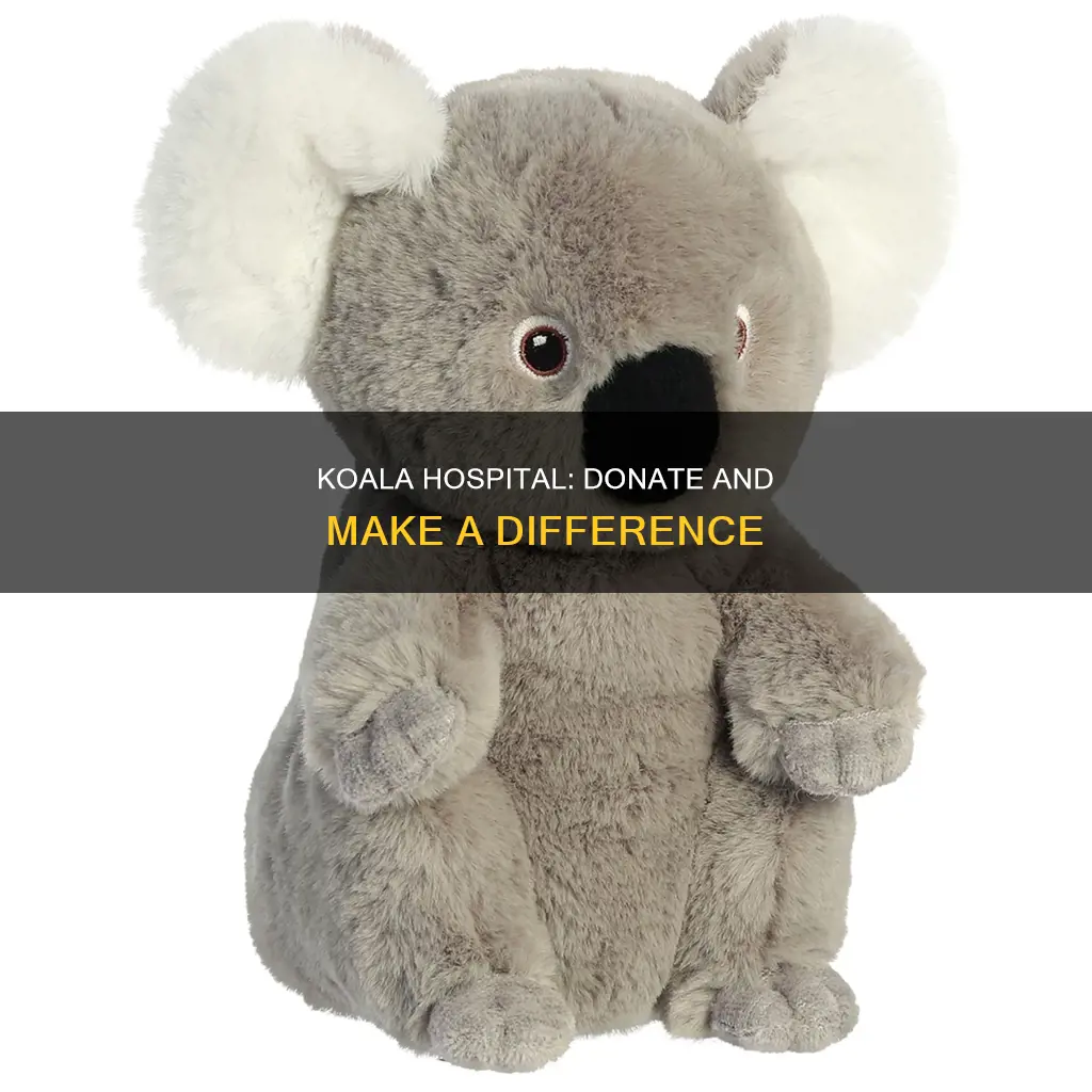 how to donate to the koala hospital