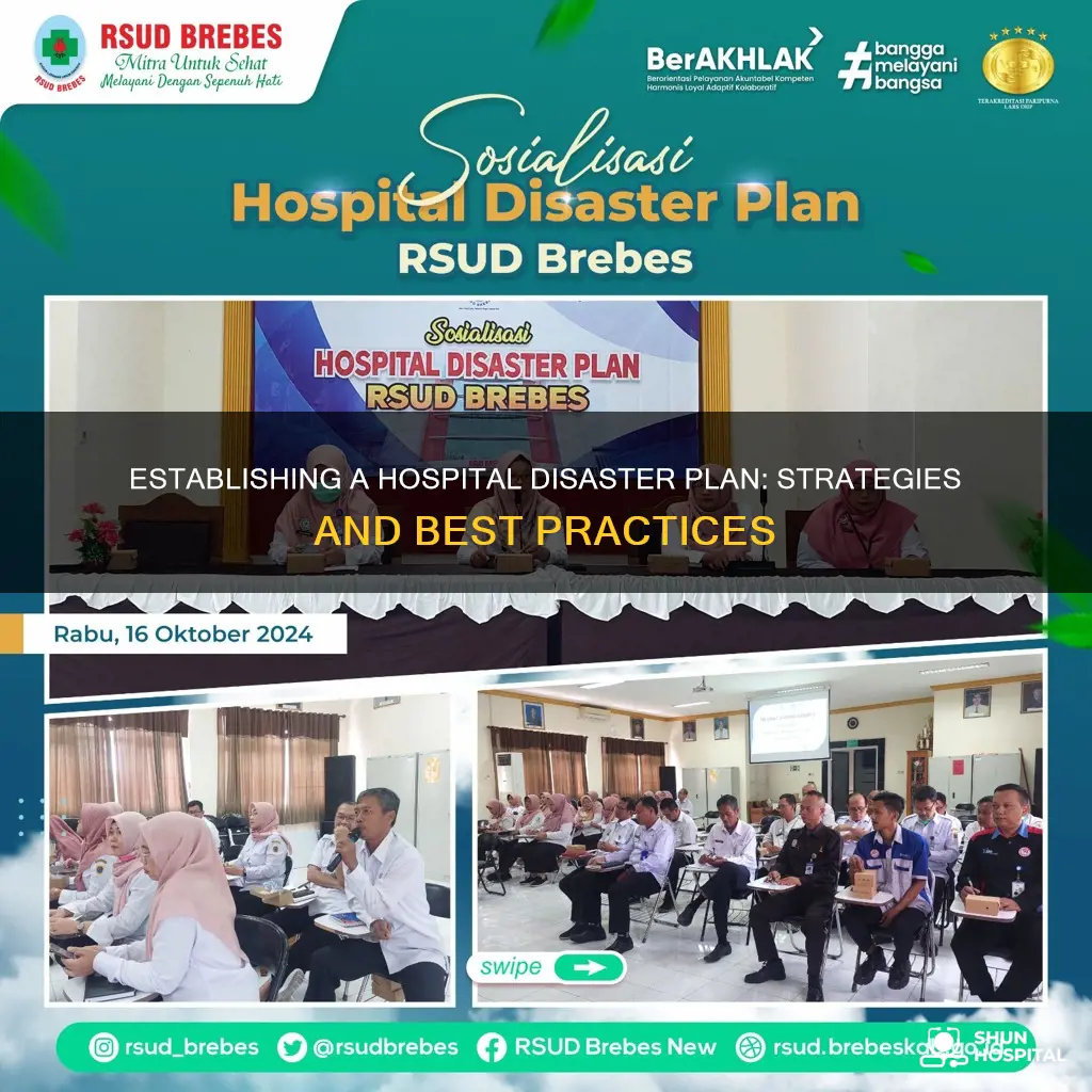 how to establish disaster plan in hospital