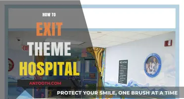 Mastering Theme Hospital: Strategies to Successfully Exit the Game