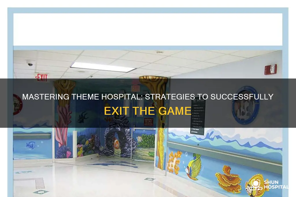 how to exit theme hospital