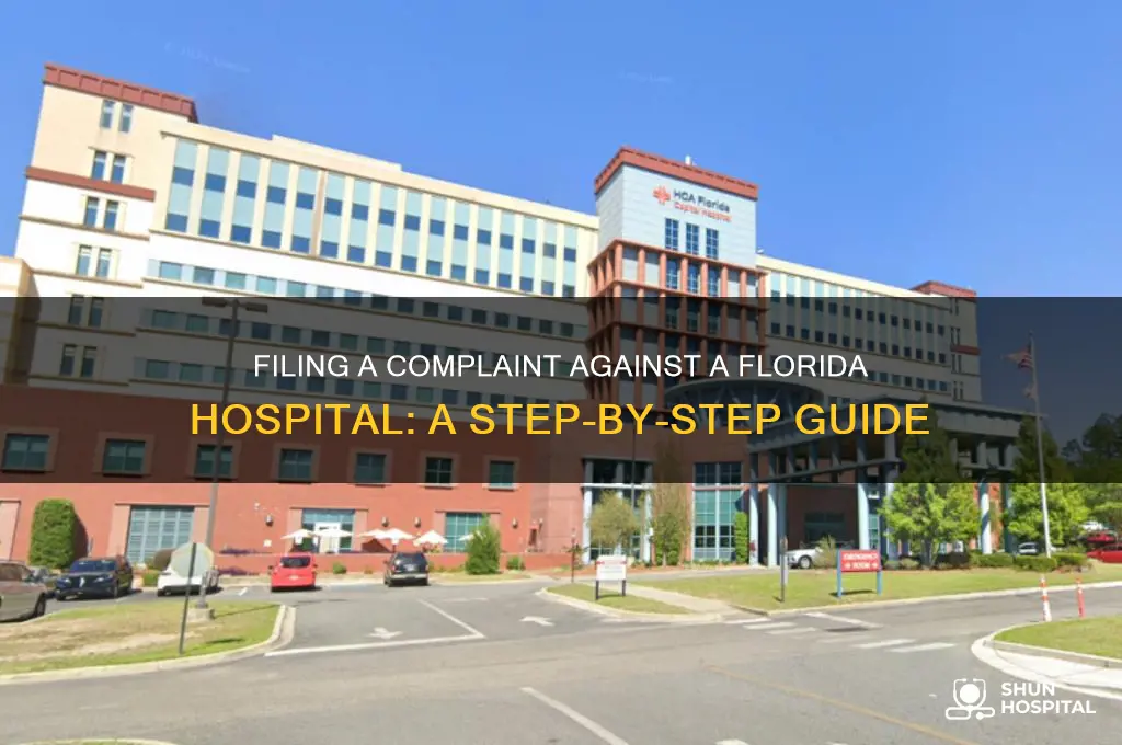 how to file a complaint against a hospital in florida