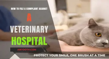 Steps to File a Complaint Against a Veterinary Hospital