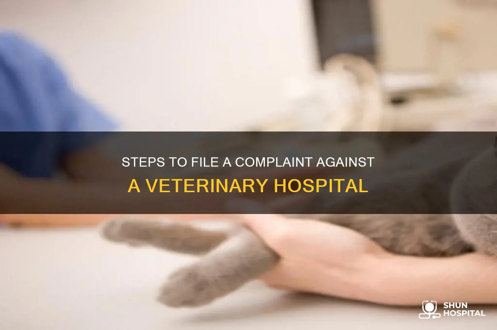 how to file a complaint against a veterinary hospital