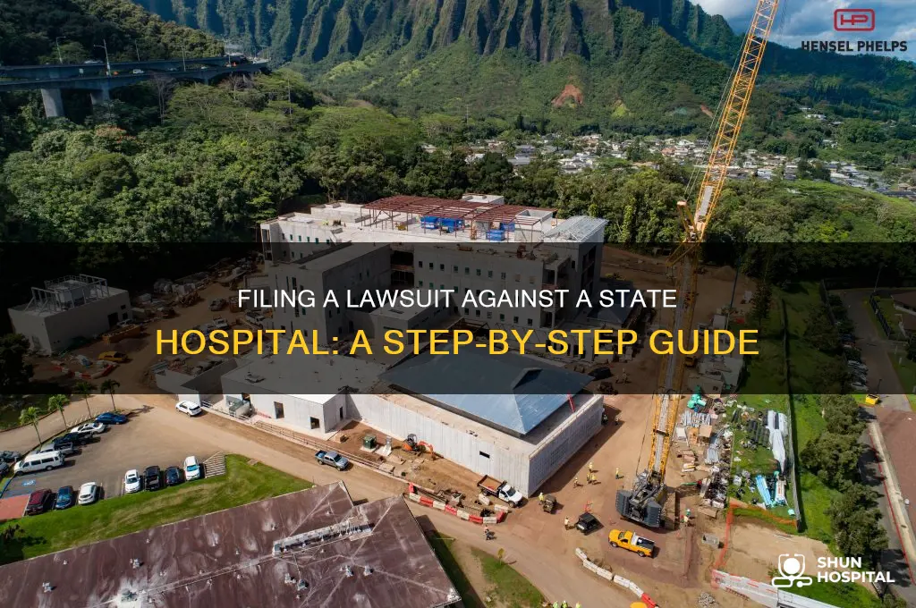 how to file a lawsuit against a state hospital