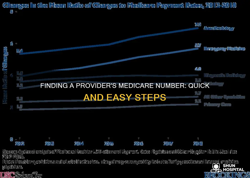 how to find a provider medicare number