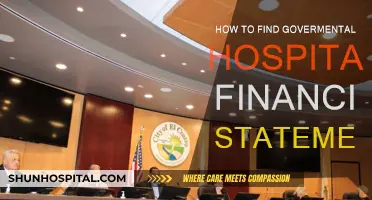 Exploring Government Hospital Financials: A Guide to Statement Access