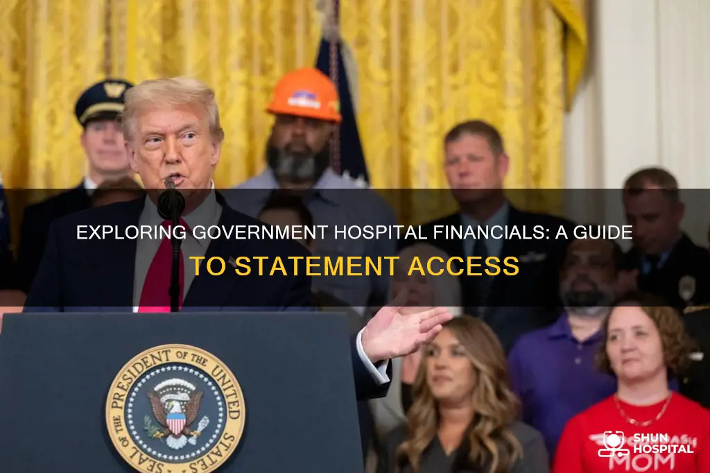 how to find govermental hospital financial statements