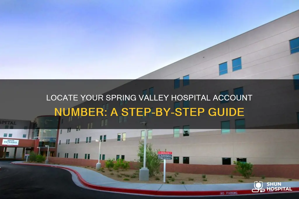 how to find my account number spring valley hospital
