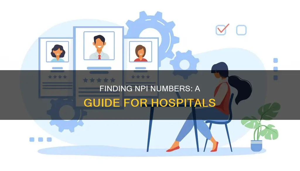 how to find npi number for hospital