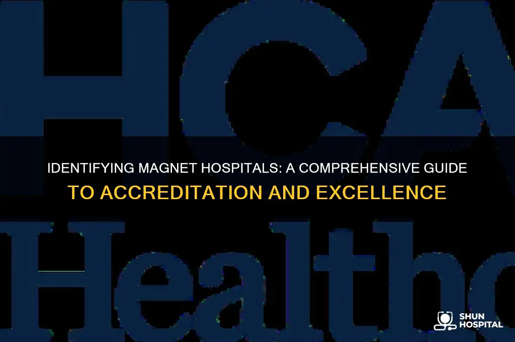 how to find out if a hospital is magnet